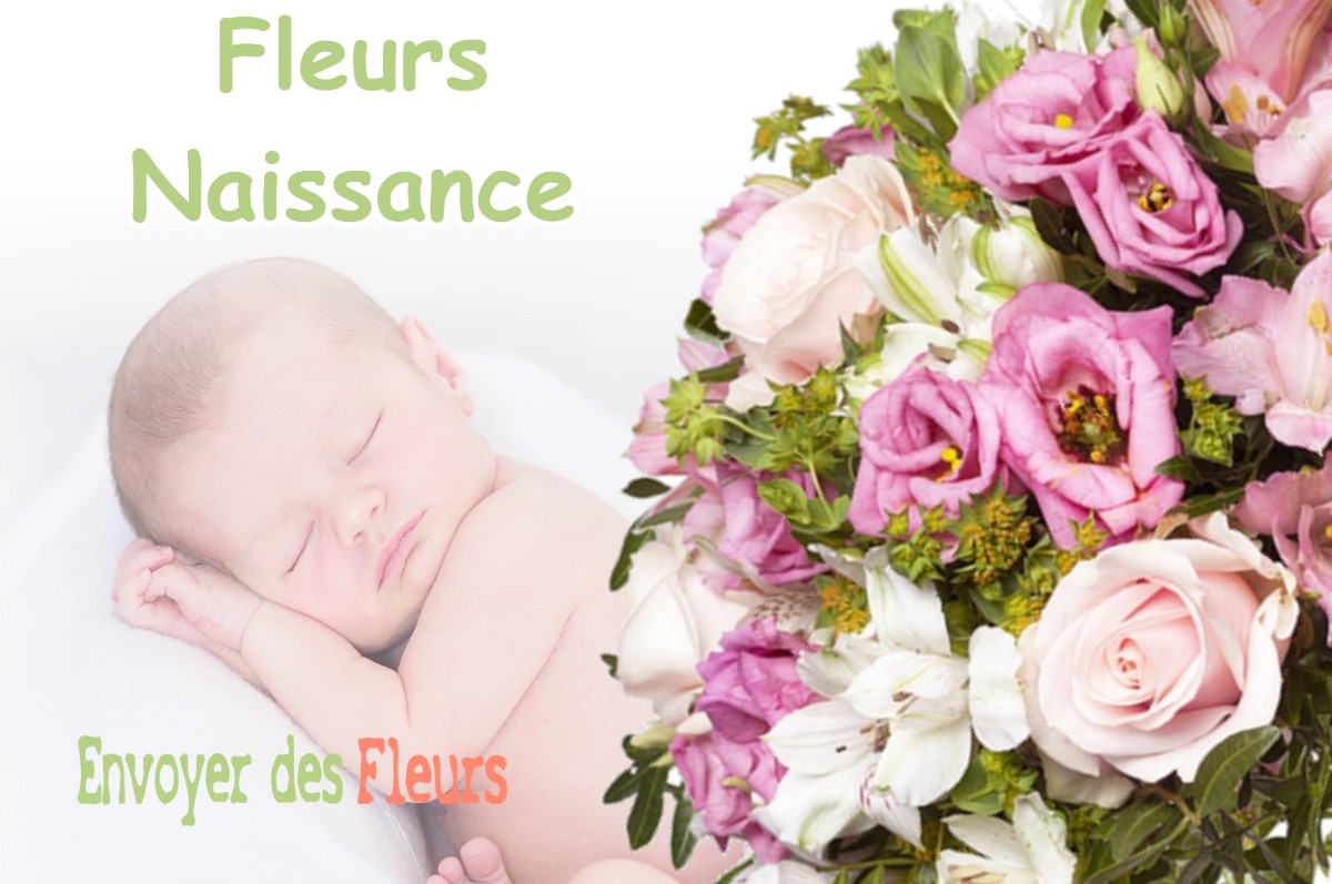 lIVRAISON FLEURS NAISSANCE à CASTILLON-DE-LARBOUST